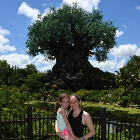 Disney Photopass Tierreich Baum des Lebens