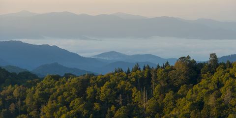 Nationalpark Great Smoky Mountains